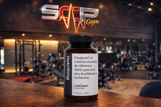Créatine Nutriting – Force et performance
